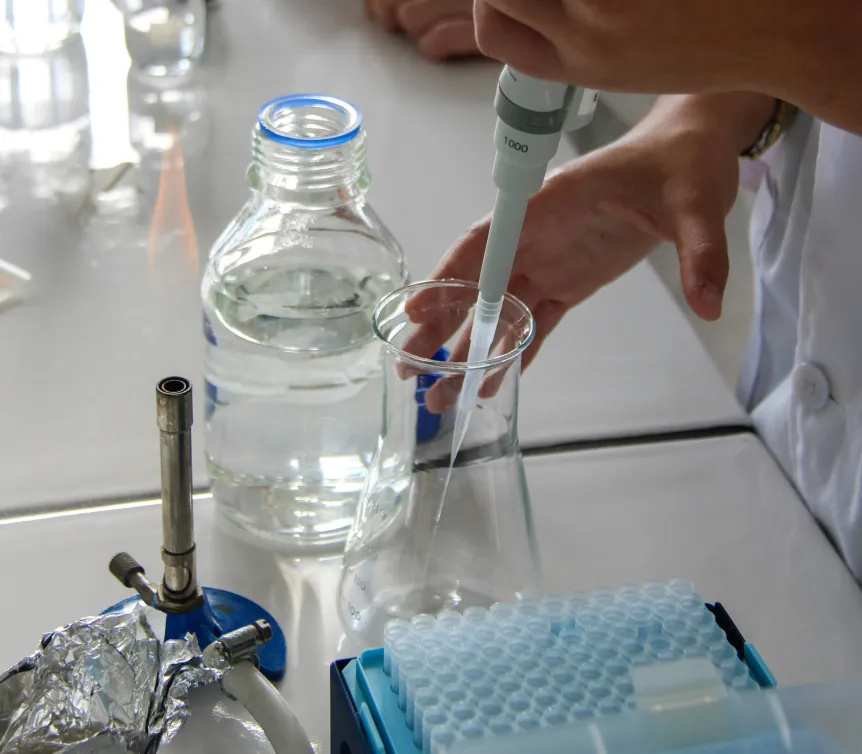 Formulation Support